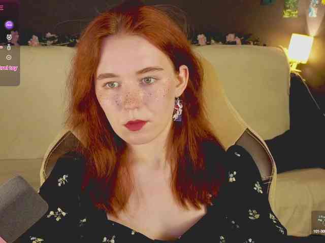 RedFox-1 webcam