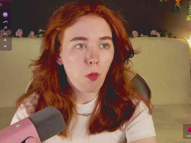 RedFox-1 webcam