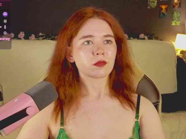 RedFox-1 webcam