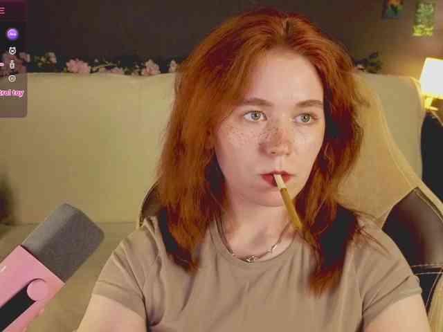 RedFox-1 webcam