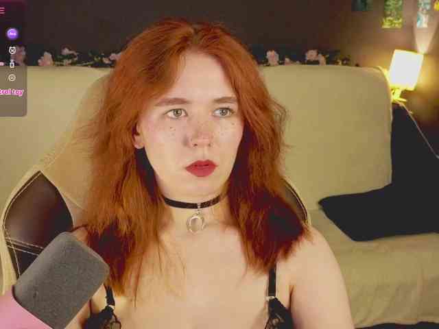 RedFox-1 webcam