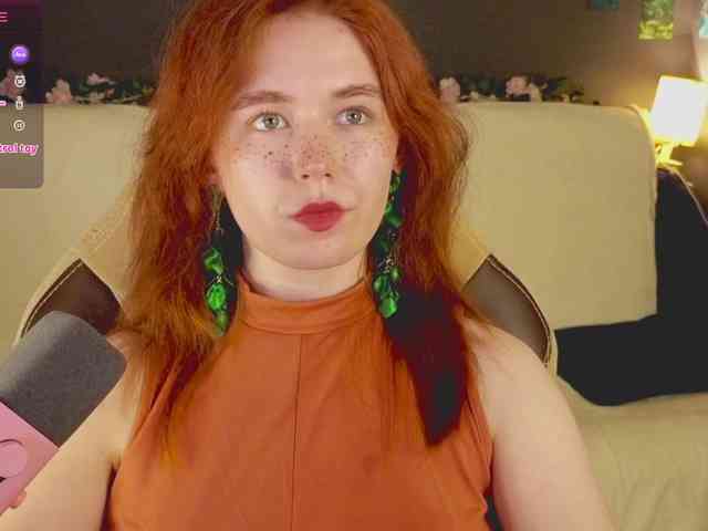 RedFox-1 webcam