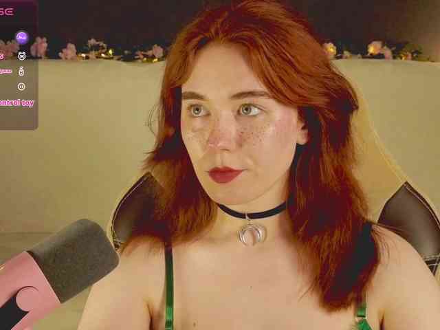RedFox-1 webcam