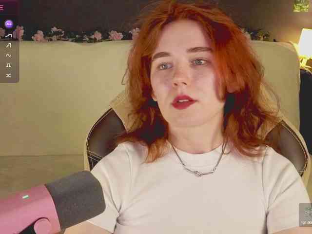 RedFox-1 webcam