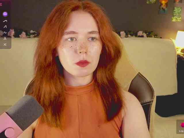 RedFox-1 webcam