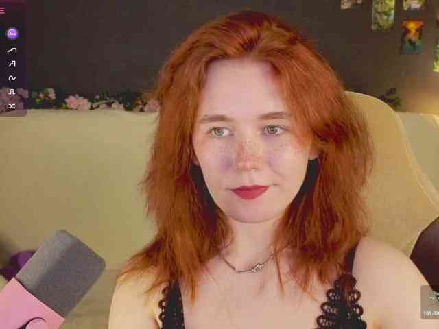 RedFox-1 webcam