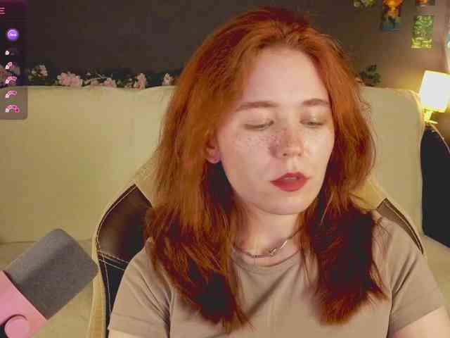 RedFox-1 webcam