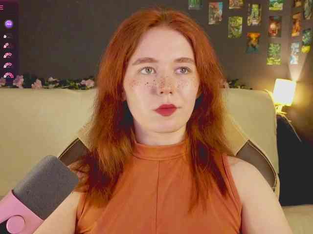 RedFox-1 webcam