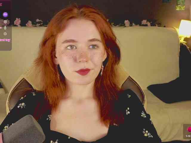 RedFox-1 webcam