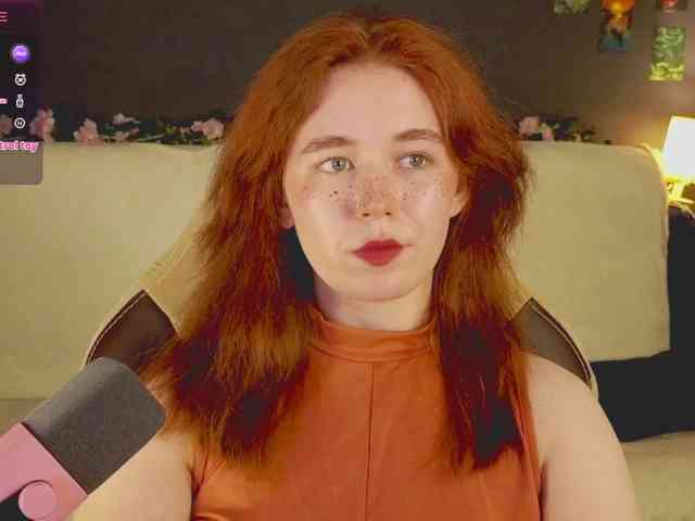 RedFox-1 webcam