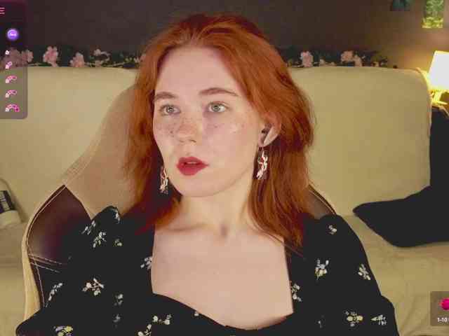 RedFox-1 webcam