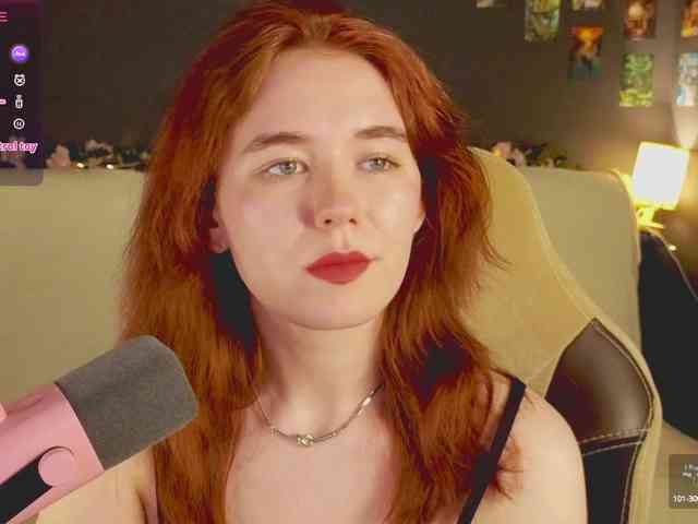 RedFox-1 webcam