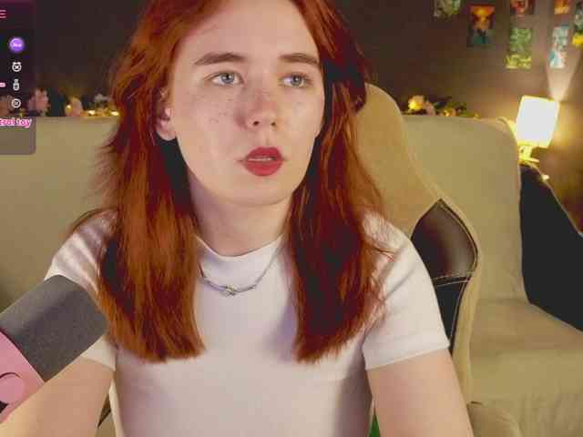 RedFox-1 webcam