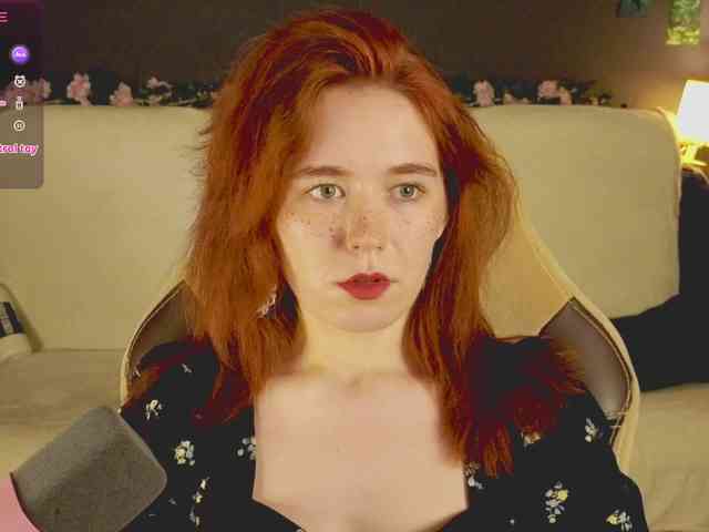 RedFox-1 webcam