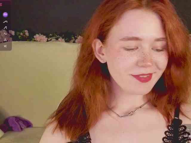 RedFox-1 webcam