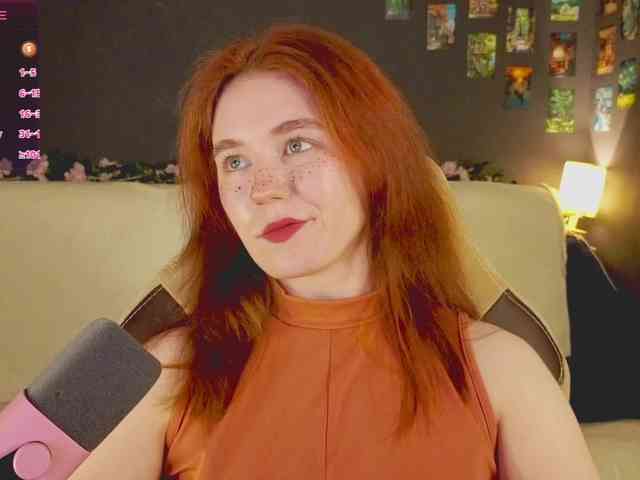 RedFox-1 webcam