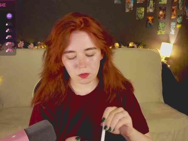 RedFox-1 webcam