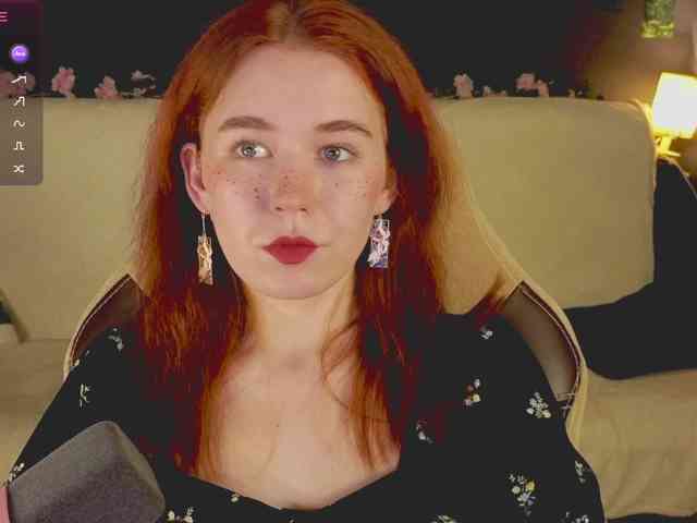 RedFox-1 webcam
