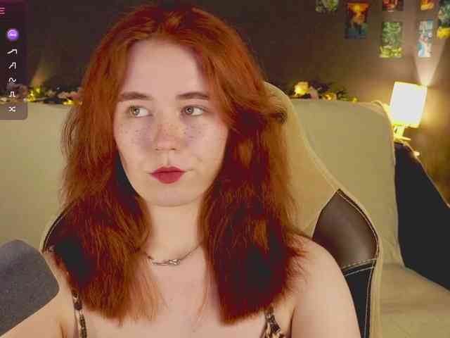 RedFox-1 webcam
