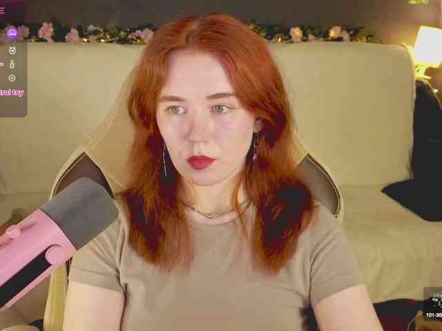 RedFox-1 webcam