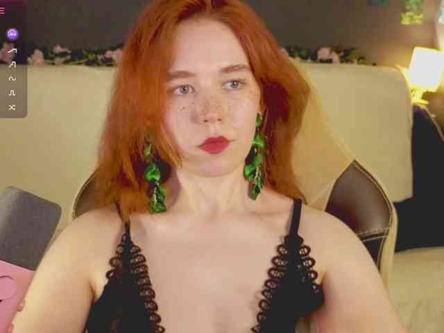 RedFox-1 webcam