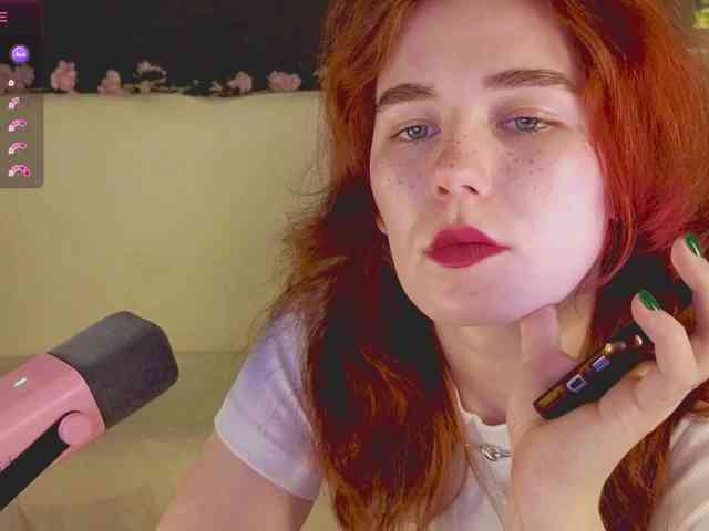 RedFox-1 webcam