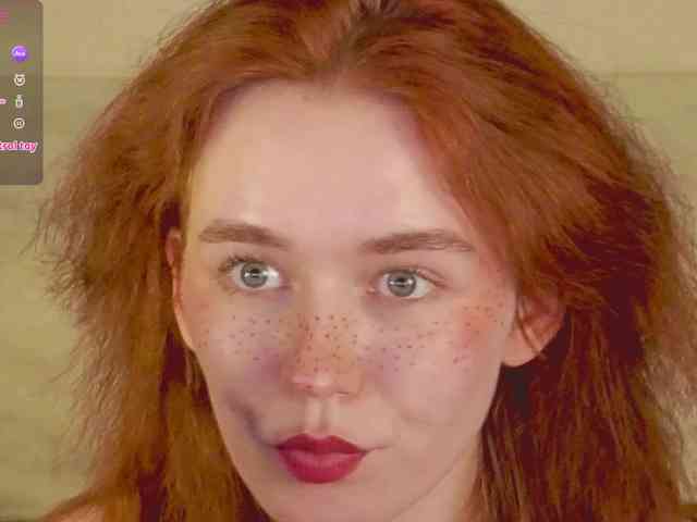 RedFox-1 webcam