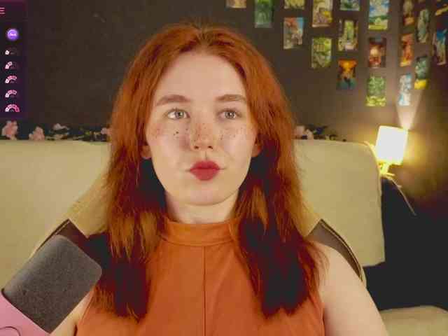 RedFox-1 webcam