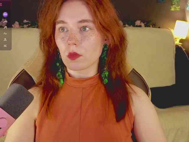 RedFox-1 webcam