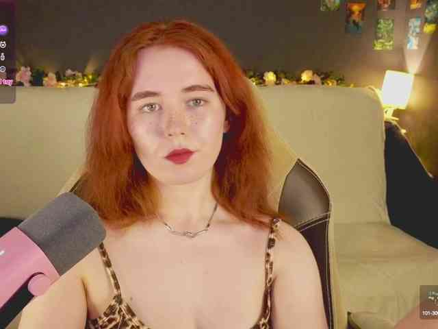 RedFox-1 webcam