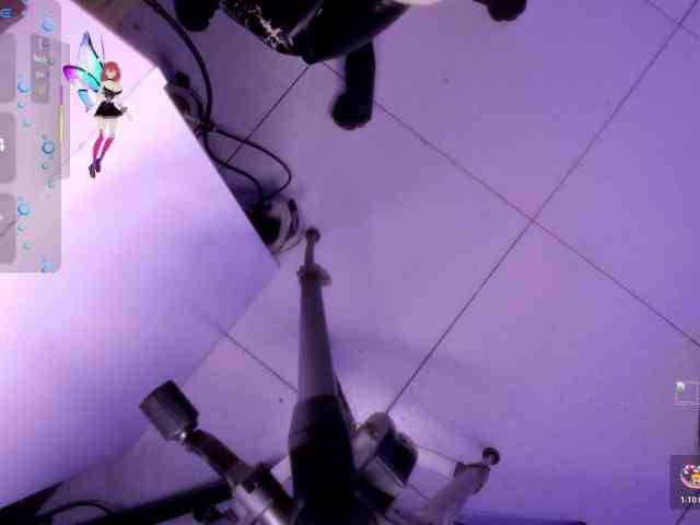 LucasCarterr LucasCarterr