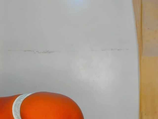 Sam9338's BongaCams show and profile