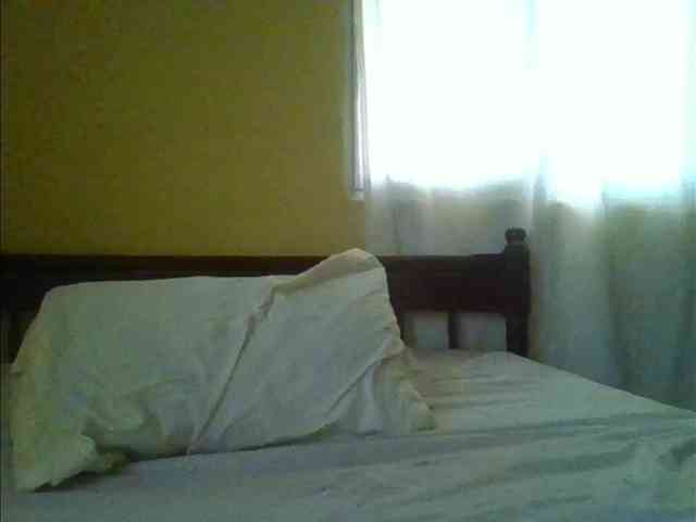 Sam9338 webcam