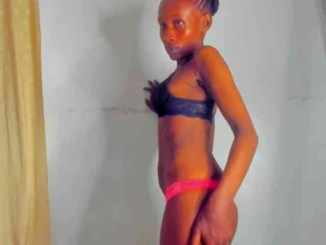 Sam9338 webcam