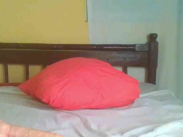 Sam9338 webcam