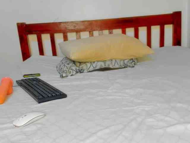 Sam9338 webcam