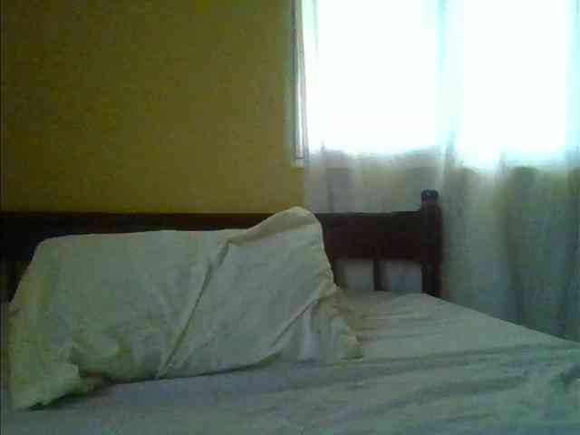 Sam9338 webcam