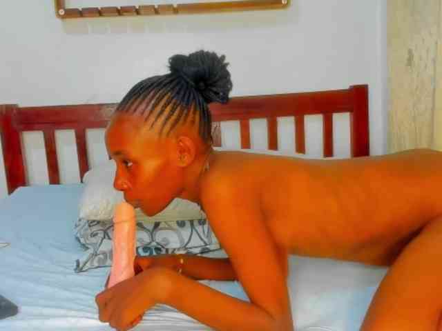 Sam9338 webcam