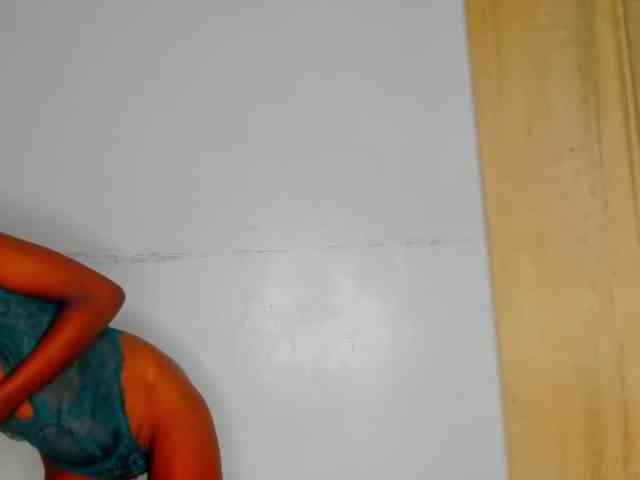 Sam9338 webcam