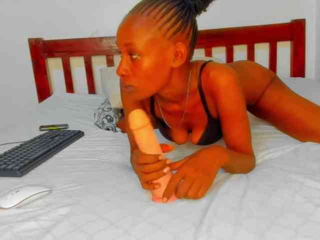 Sam9338 webcam
