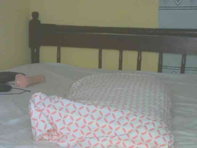 Sam9338 webcam