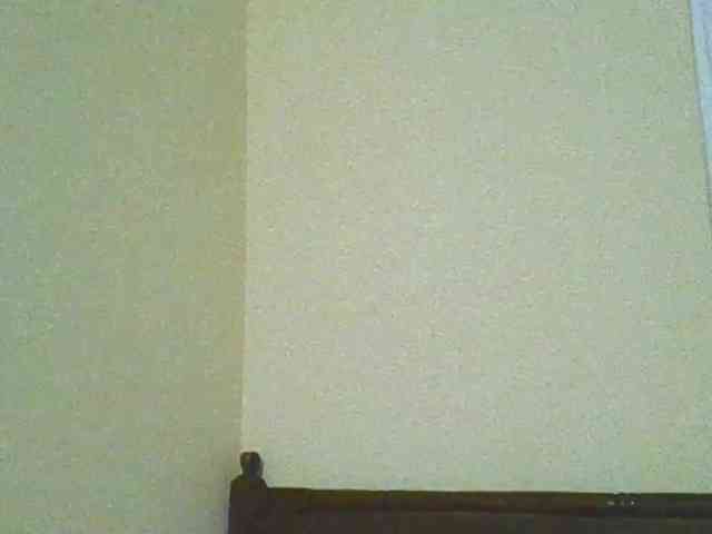 Sam9338 webcam