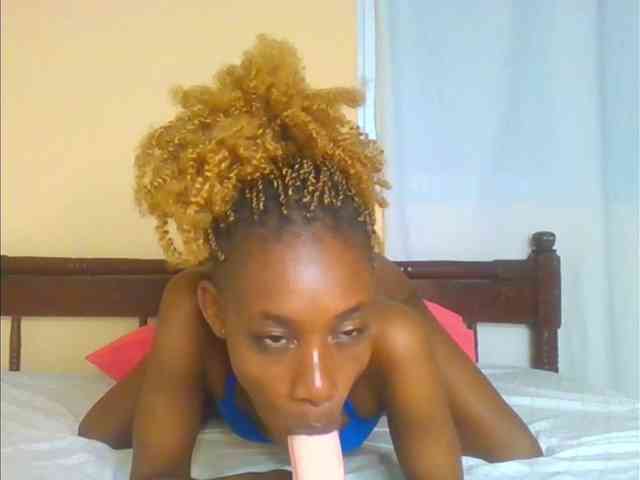 Sam9338 webcam