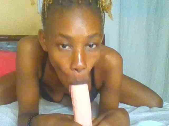 Sam9338 webcam