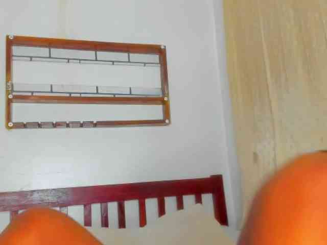 Sam9338 webcam