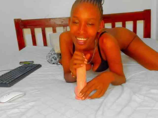 Sam9338 webcam