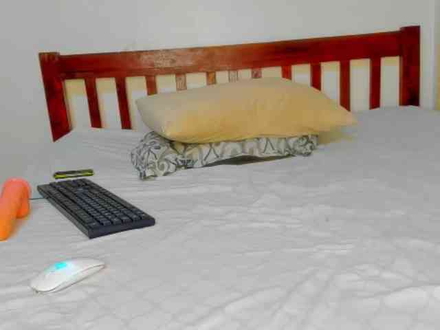 Sam9338 webcam
