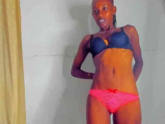 Sam9338 webcam