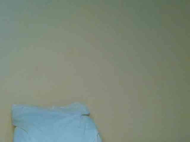 Sam9338 webcam