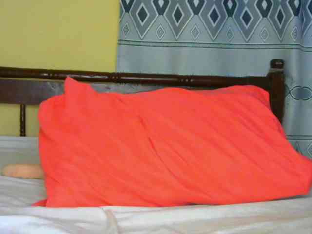 Sam9338 webcam